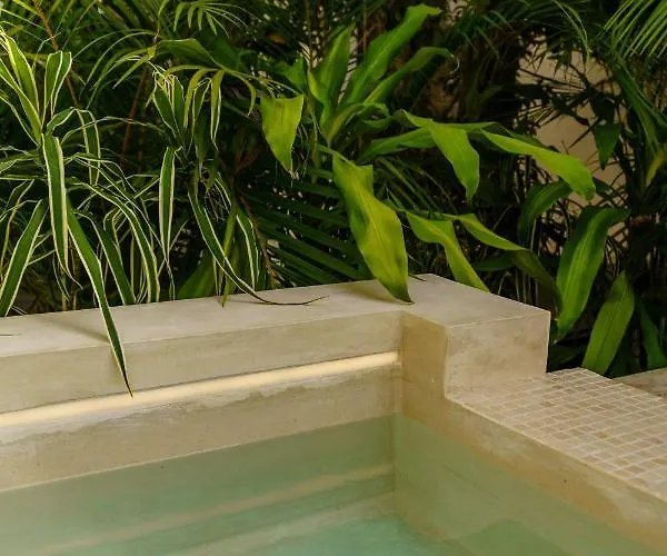 Apartment 205 Perfect Location 3 Bedrooms *