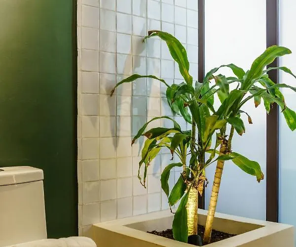205 Perfect Location 3 Bedrooms Apartment